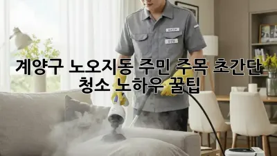 ✨ 계양구 노오지동 주민 주목! 초간단 청소 노하우 꿀팁🍯