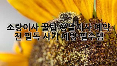 소량이사 꿀팁🍯 용달이사 예약 전 필독! 사기 예방 필수템🚨