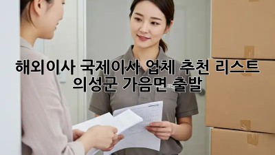 해외이사, 국제이사 업체 추천 리스트: 의성군 가음면 출발