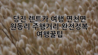 당진 렌트카 여행🚗 면천면 원동리 주행거리 완전정복! #여행꿀팁