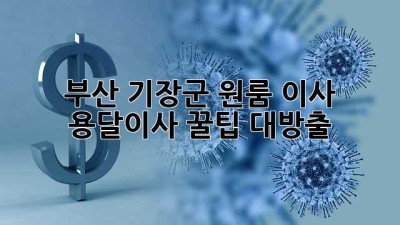 부산 기장군 원룸 이사? 용달이사 꿀팁 대방출!