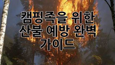 캠핑족을 위한 산불 예방 완벽 가이드🔥